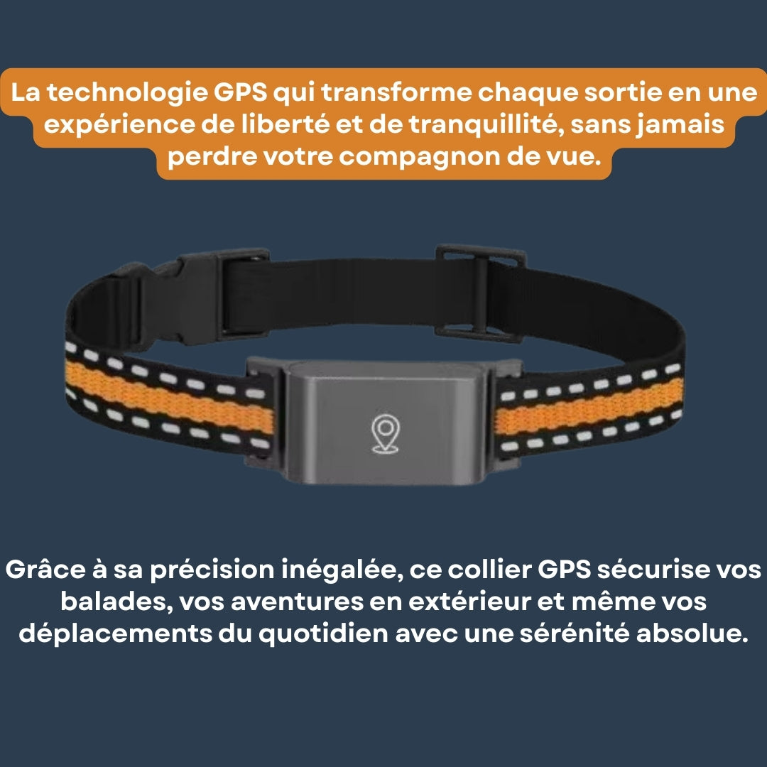 Collier GPS Chien et Chat Sans Abonnement – Suivi en Temps Réel & Portée Illimitée