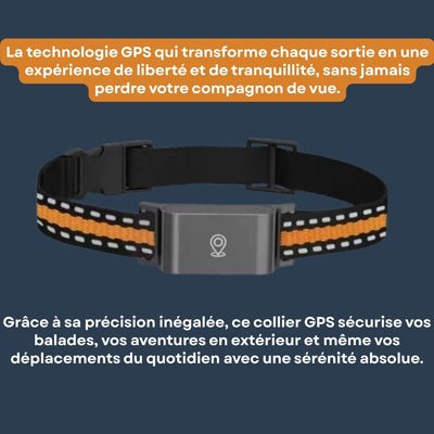 Collier GPS Chien et Chat Sans Abonnement – Suivi en Temps Réel & Portée Illimitée