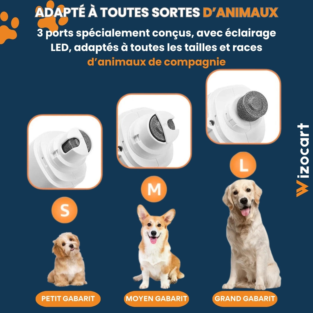 Coupe griffe chat et chien 2-en-1