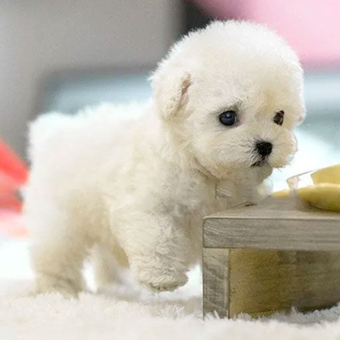 Chiot robot réaliste en peluche
