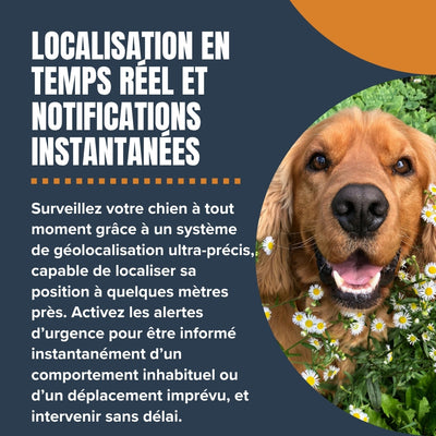 GPS pour Chien – Compatible iOS / Android, Sans Abonnement