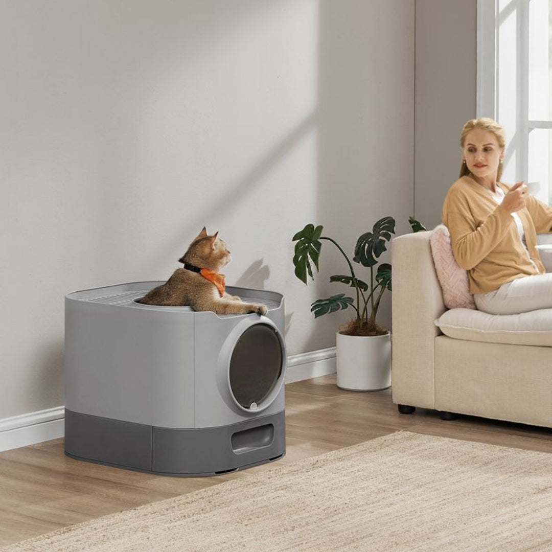 Litière chat automatique