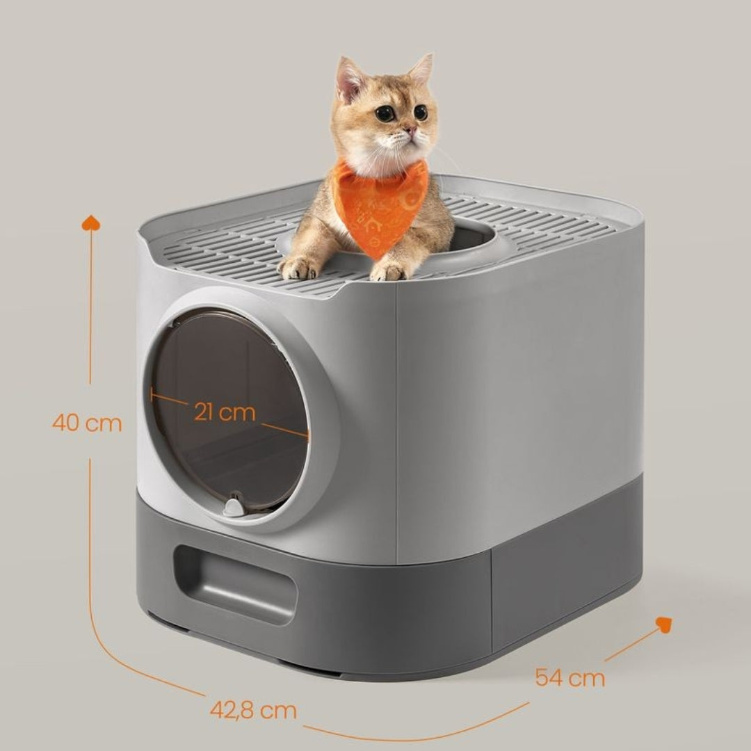 Litière chat automatique