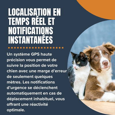 Collier GPS Chien et Chat Sans Abonnement – Suivi en Temps Réel & Portée Illimitée