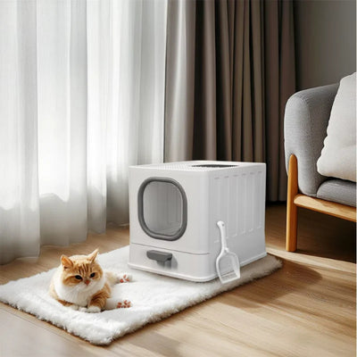 Litière chat automatique moderne