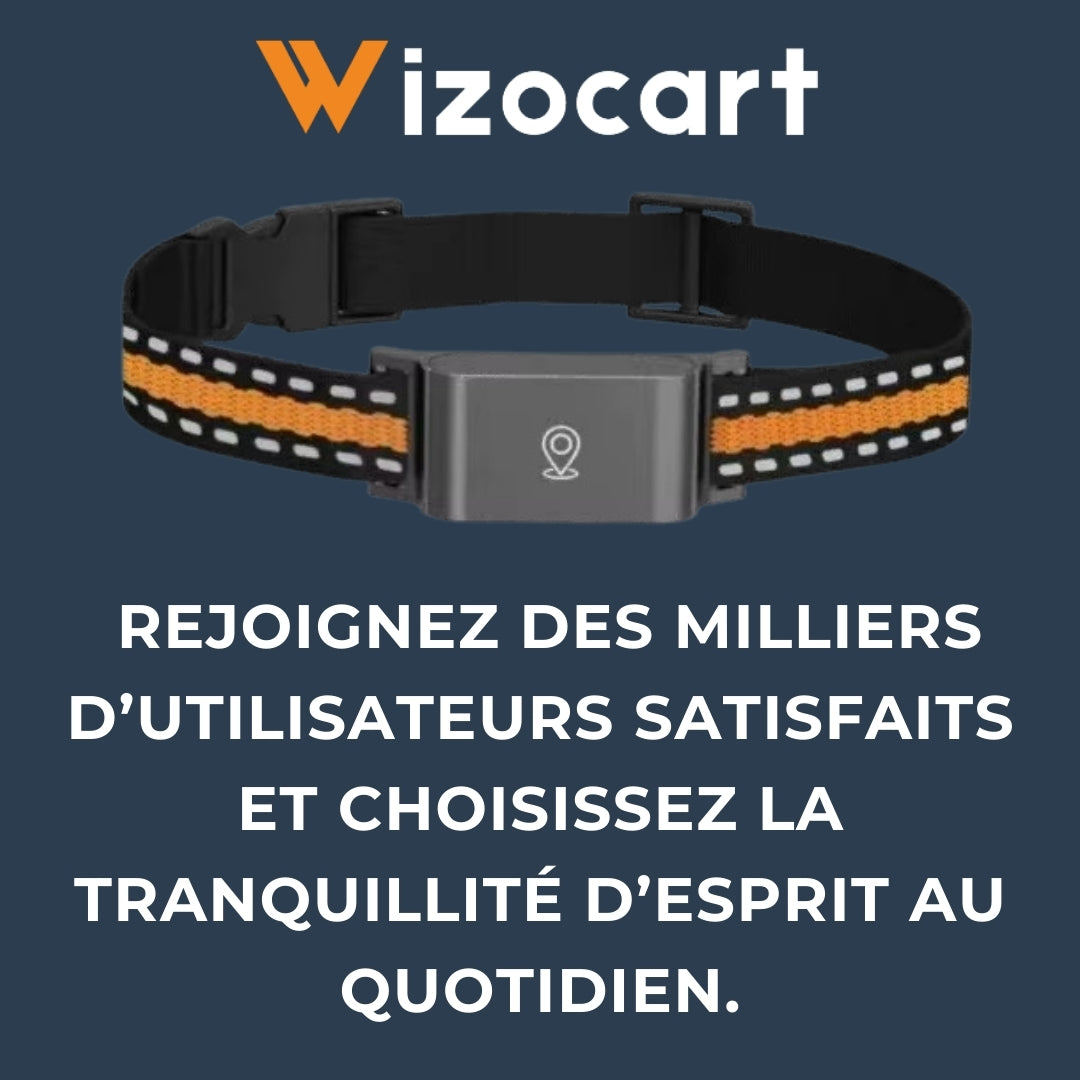 Collier GPS Chien et Chat Sans Abonnement – Suivi en Temps Réel & Portée Illimitée