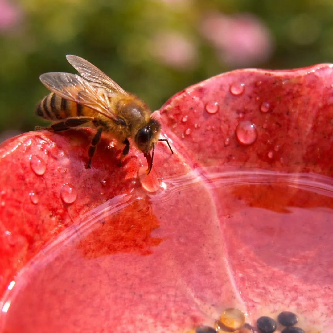 Fleurs Abeilles en Céramique – Abreuvoirs Décoratifs Résistants aux Intempéries