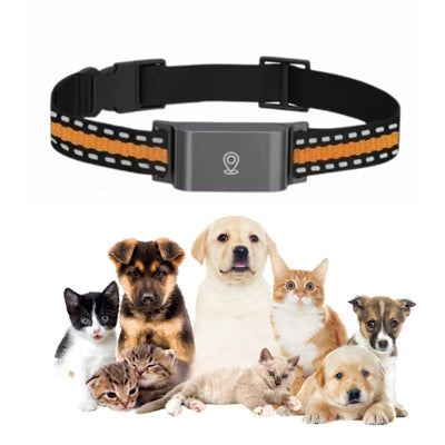 Collier GPS Chien et Chat Sans Abonnement – Suivi en Temps Réel & Portée Illimitée
