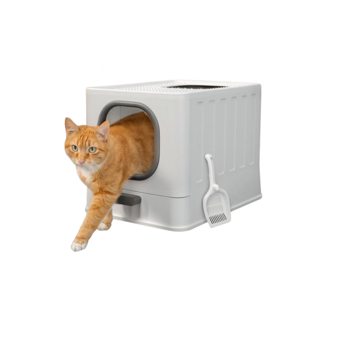 Litière chat moderne