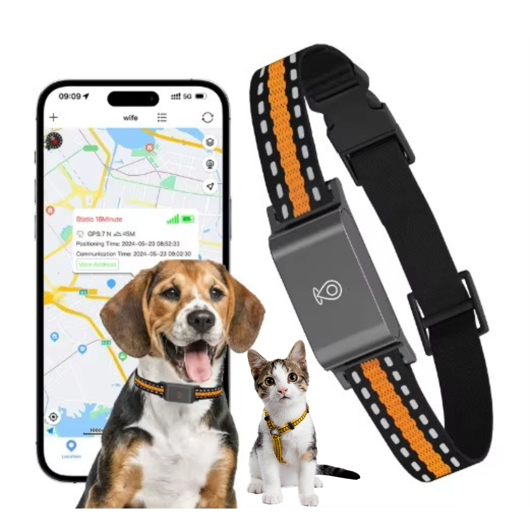 Collier GPS Chien et Chat Sans Abonnement – Suivi en Temps Réel & Portée Illimitée